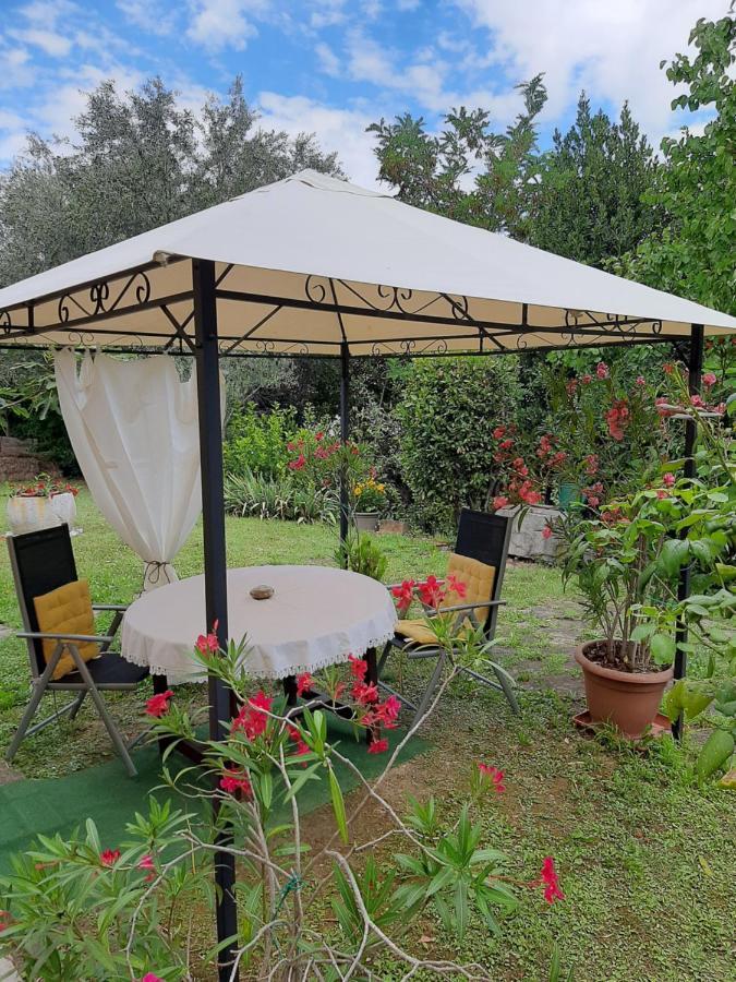Studio With Garden Near The Sea Koper városi község Kültér fotó