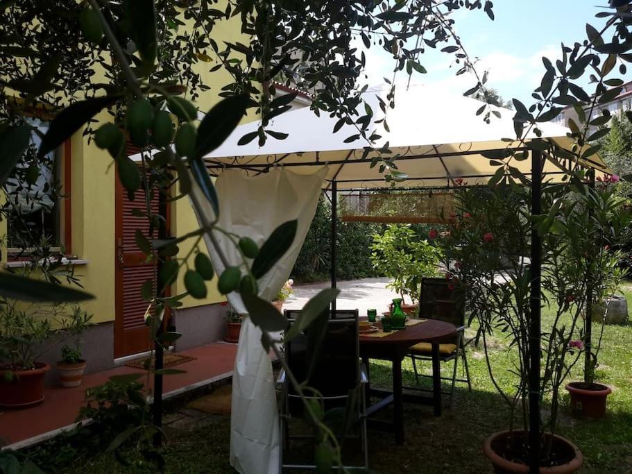 Studio With Garden Near The Sea Koper városi község Kültér fotó